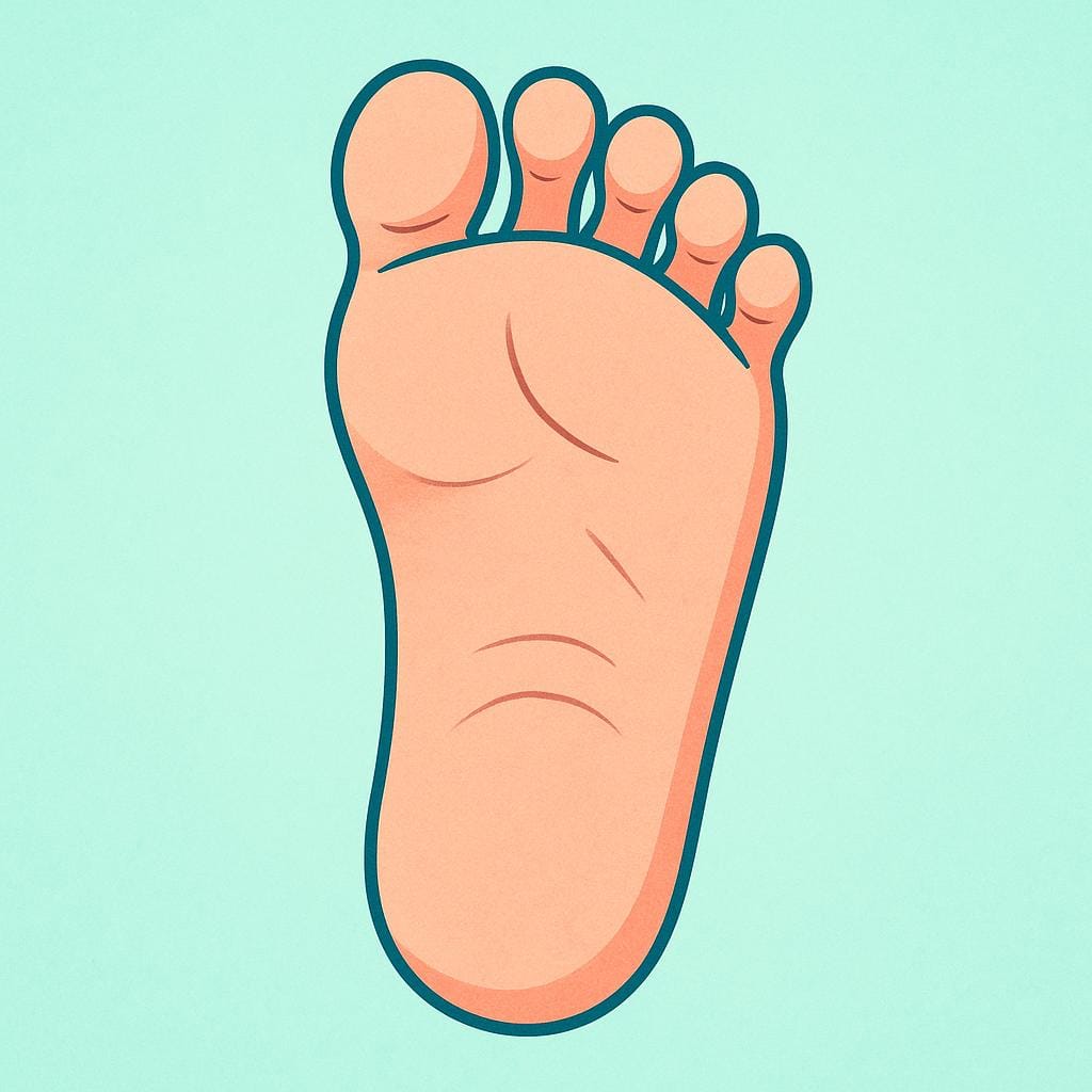 The underside view of a bare human foot, clearly highlighting the curved surface of the sole.