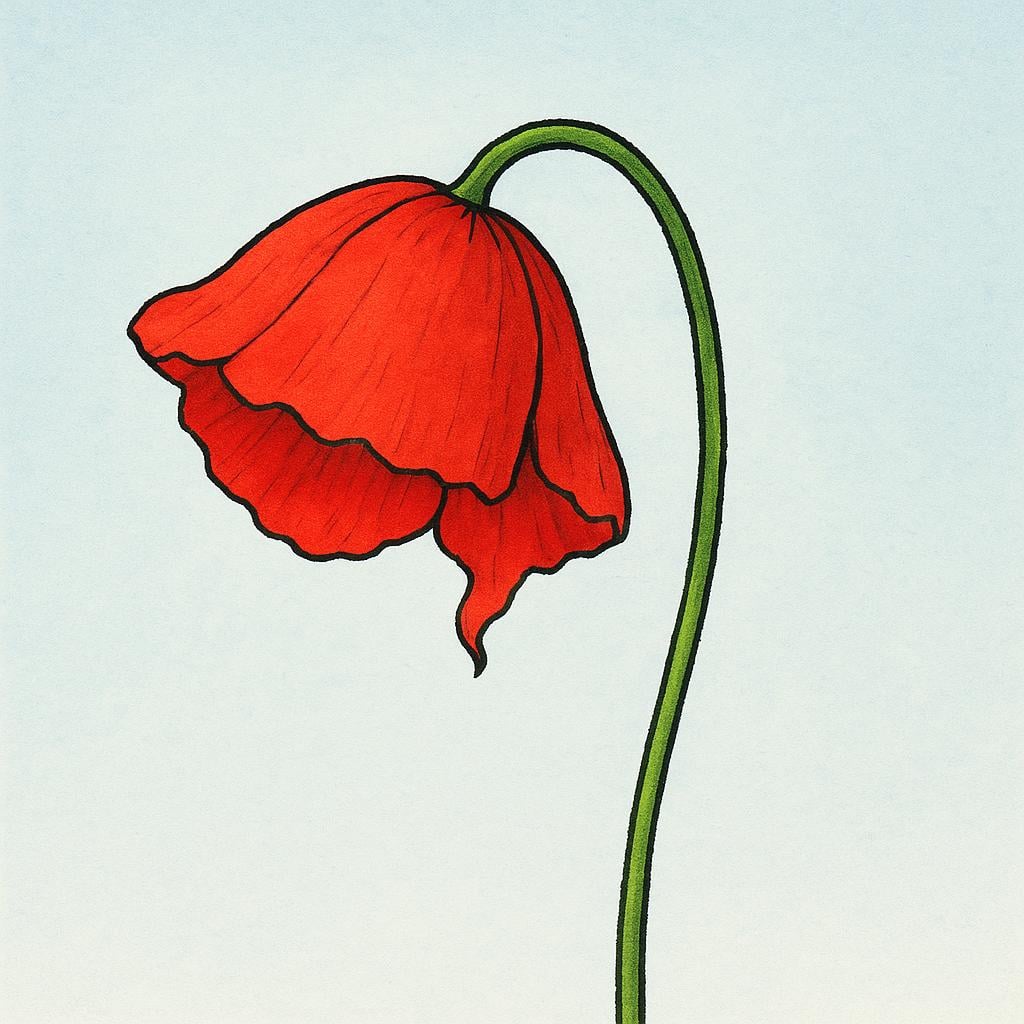 A high-quality storybook illustration showing a single, brightly colored poppy flower on a green stem. The flower head is gently drooping and beginning to wilt, symbolizing the future end of life.