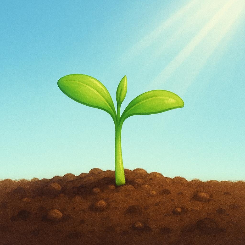 A tiny, bright green seedling with two small leaves emerging from a patch of dark brown soil, reaching toward the sun.