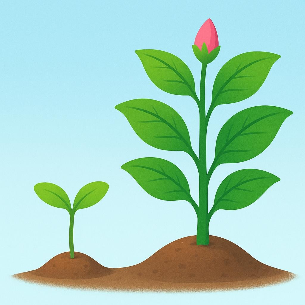 A tiny green seedling emerging from the earth positioned right next to a mature, large green plant, symbolizing growth in size.