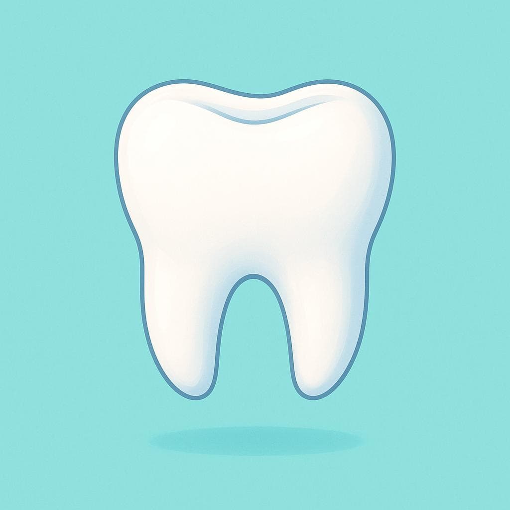 Une illustration en gros plan d'une seule grosse molaire blanche et saine flottant sur un fond de couleur unie.
