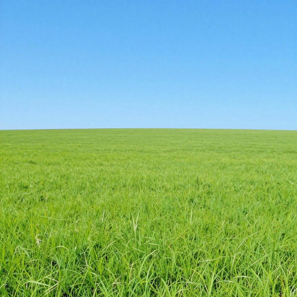 A vast, open landscape with a clear blue sky and a grassy field stretching as far as the eye can see without any fences or walls.