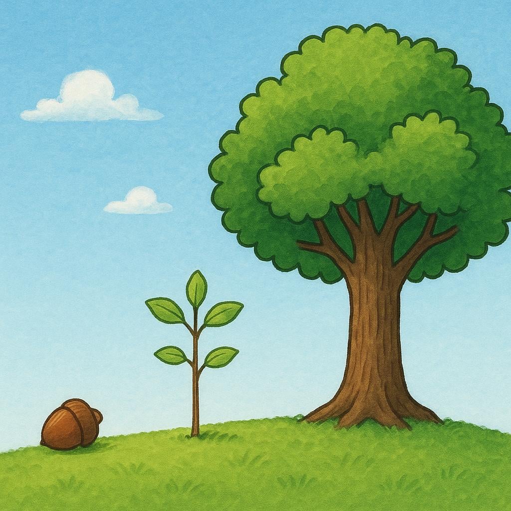 A visual sequence showing a small acorn next to a young sapling, which is next to a massive, fully grown oak tree, all side-by-side on a grassy hill, illustrating the passage of time.