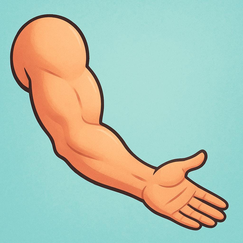 A simple illustration of a bare, slightly bent human arm extending from the shoulder, emphasizing the limb.